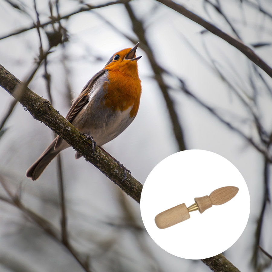 Nichoir mangeoire à oiseaux en bois - Multiholk Maison rouge Wildlife –  Maison Fertile