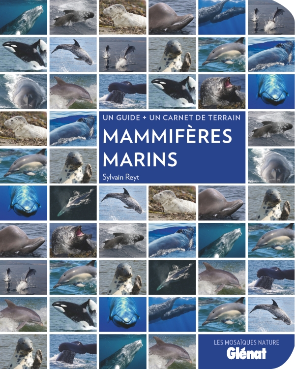 Les Mosaïques Nature : Mammifères marins (guide pratique)