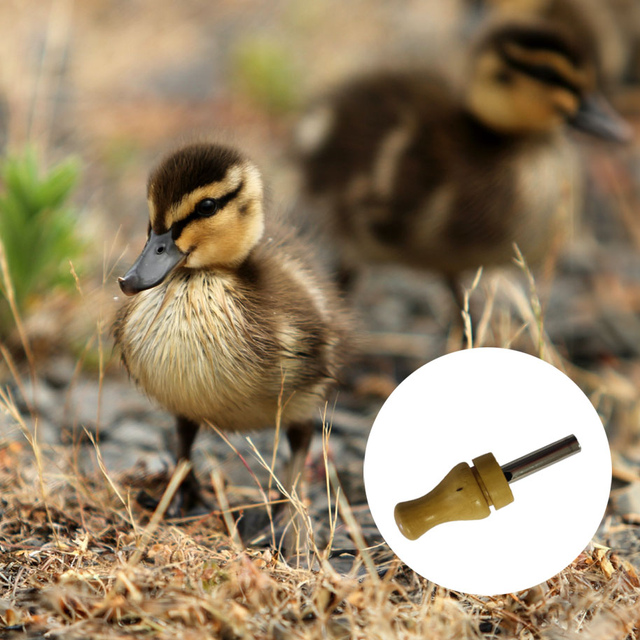 appeau-oiseau-caneton-maunakea