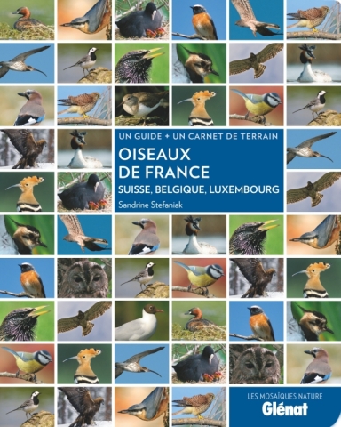 Oiseaux-de-France-Suisse-Belgique-Luxembourg-livre-glenat-maunakea
