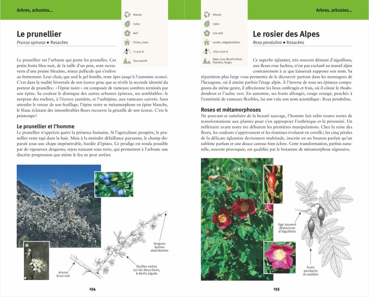 livre-faune-et-flore-de-nos-montagnes-extrait-2-maunakea