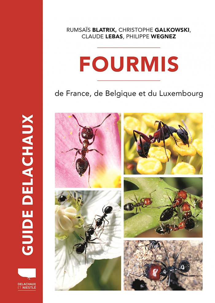 Fourmis de France, Belgique et du Luxembourg