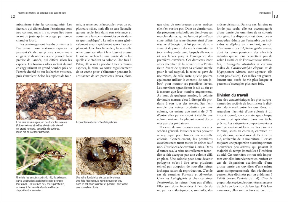 guide-fourmis-europe-france-maunakea-extrait-3