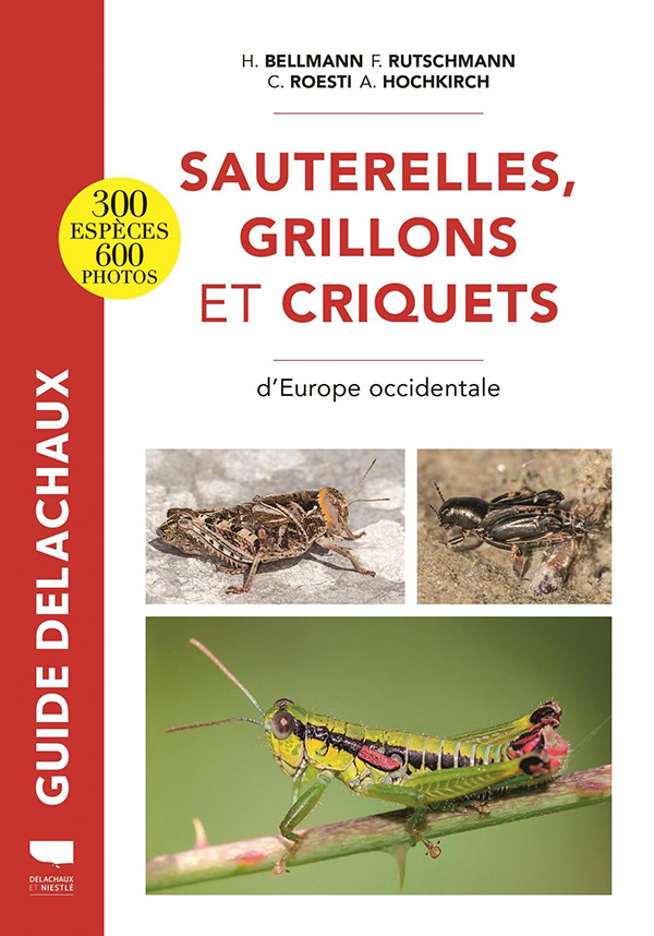 La vie des coléoptères d'Europe