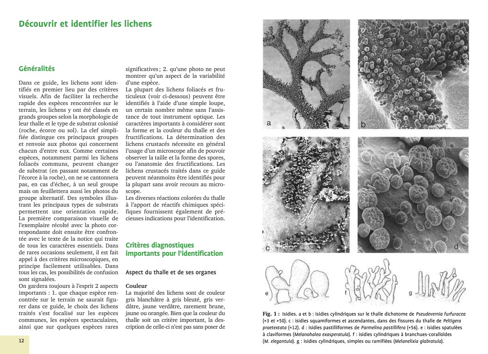 mousse-et-lichens-livre-botanique-extrait2-maunakea