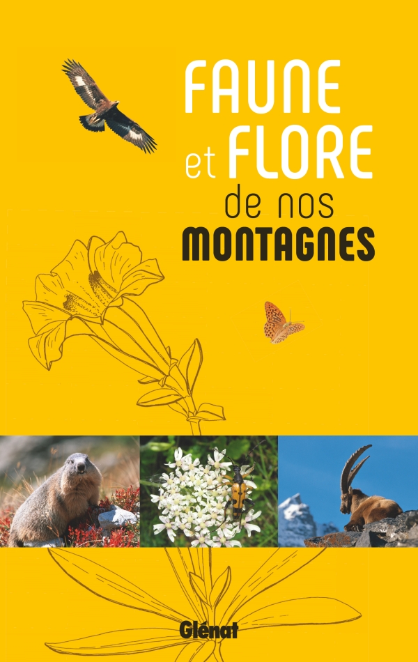 faune-et-flore-maunakea
