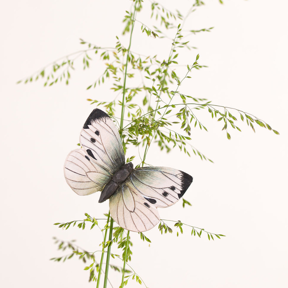 Papillon blanc Piéride du Chou - aimant décoratif