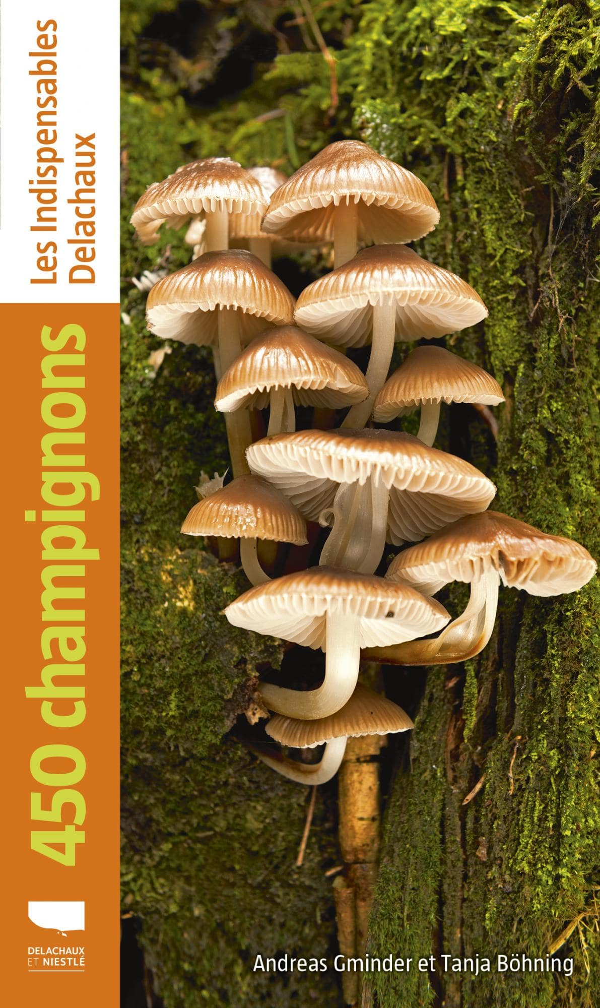 450 Champignons_9782603031605_couverture-min