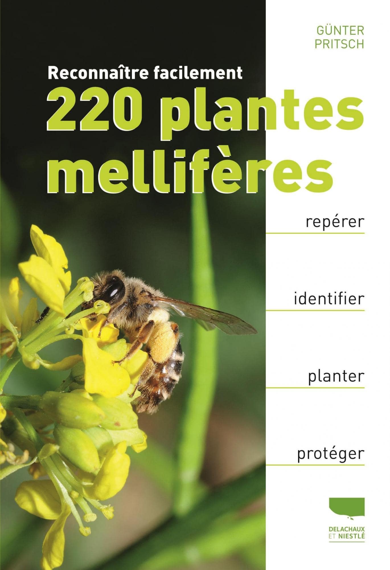 Reconnaitre facilement 220 plantes mellifères_9782603026731_couverture-min