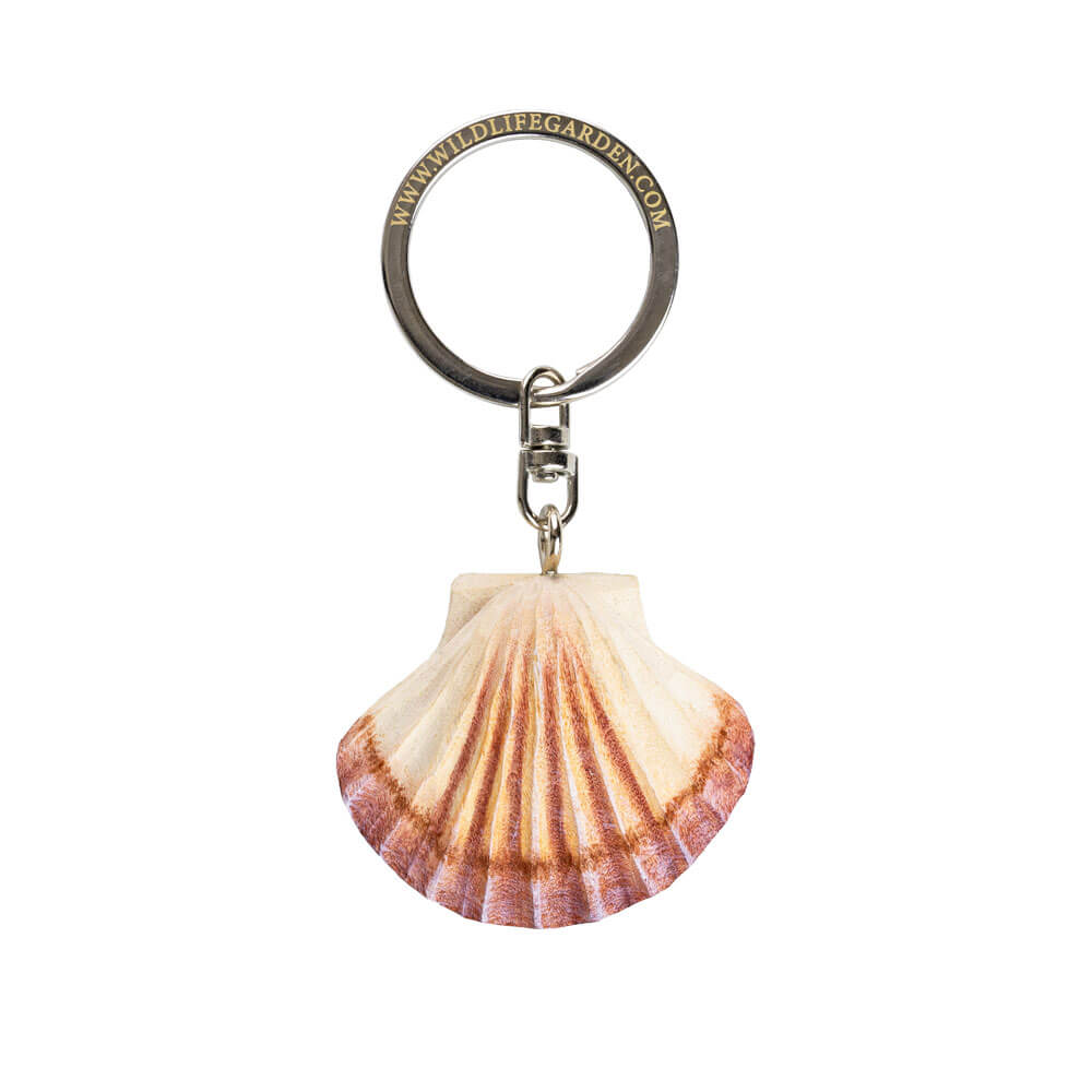 WG4721_Keyring-Scallop_Top-1-1