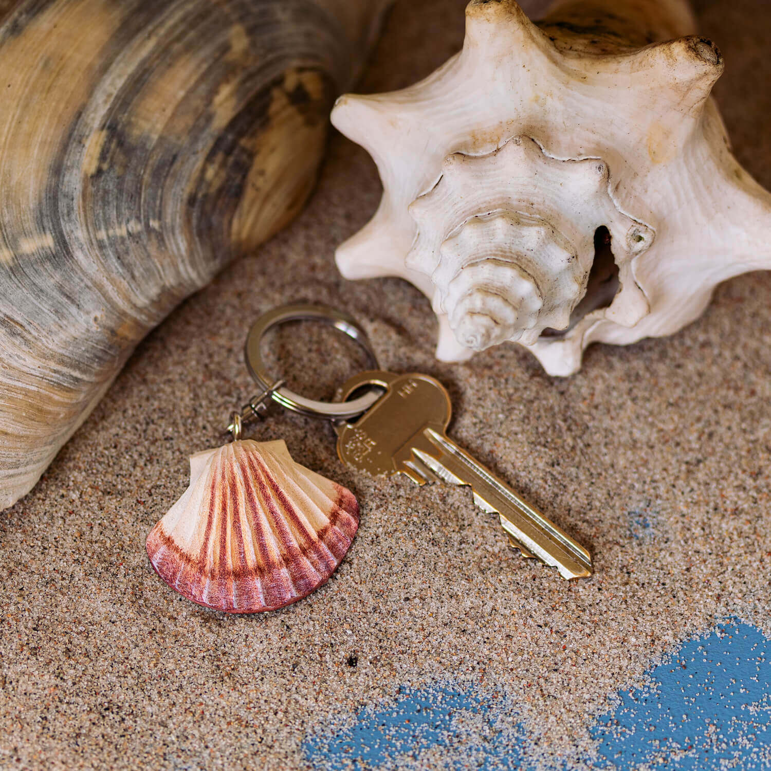 WG4721_Keyring-Scallop_LS-3-1-1