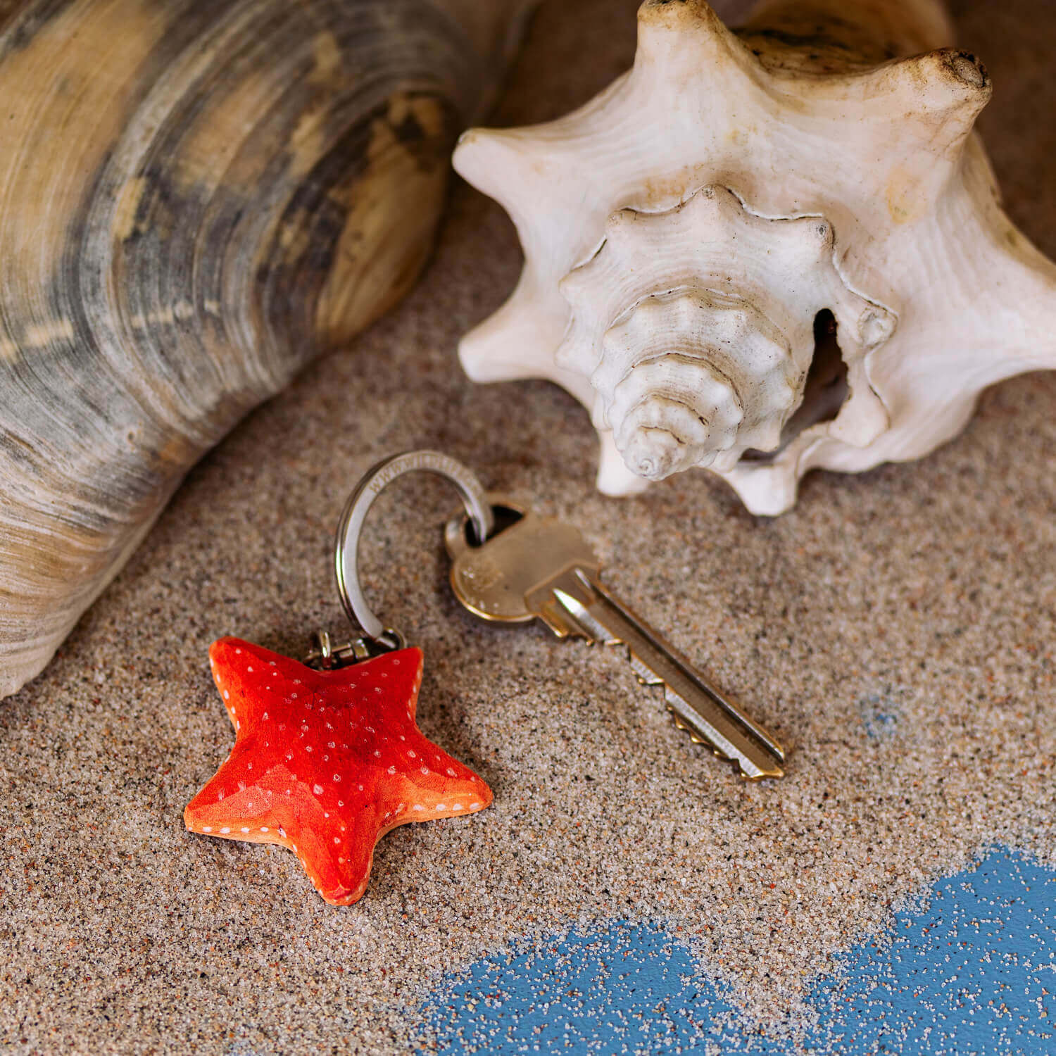 WG4725_Keyring-Starfish_LS-3-1-1