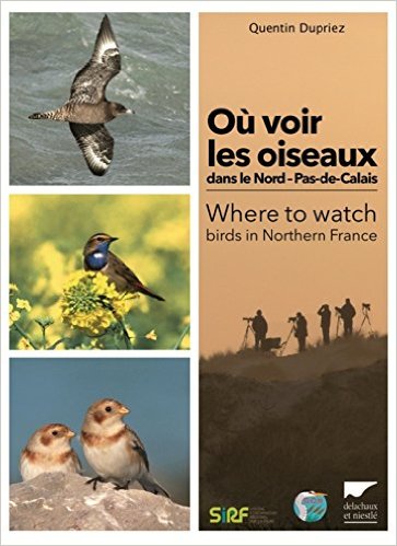 Où voir les oiseaux dans le Nord-Pas-de-Calais