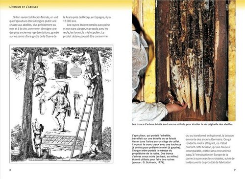 guide-abeille2-z