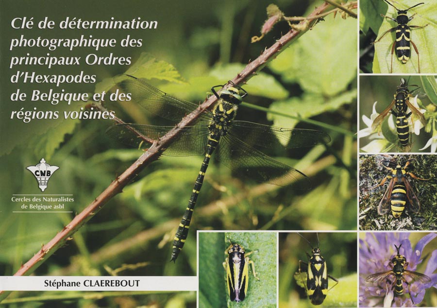 Cercle des Naturalistes de Belgique - Stéphane Claerbout -Couverture : vue de la clé avec une photo d’insecte adulte et manche illustré.