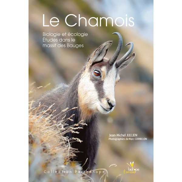 Le chamois