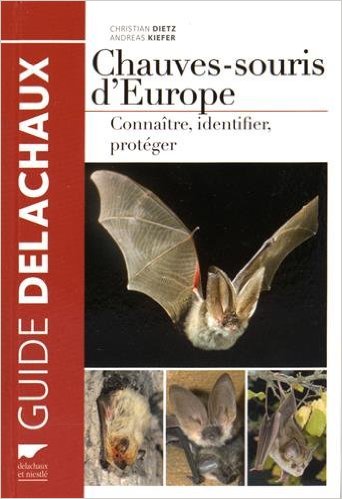 Chauves-souris d\'Europe