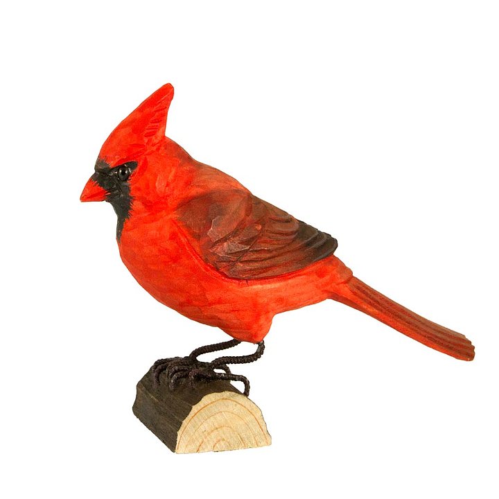 Américain Cardinal rouge
