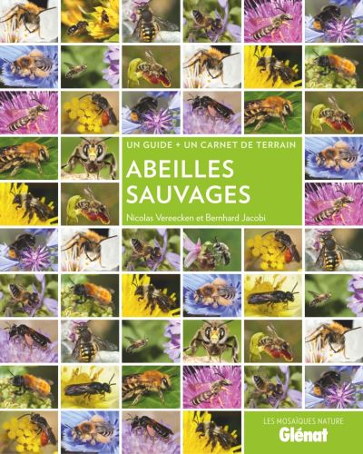 MaunaKea-Abeilles-sauvages-cover