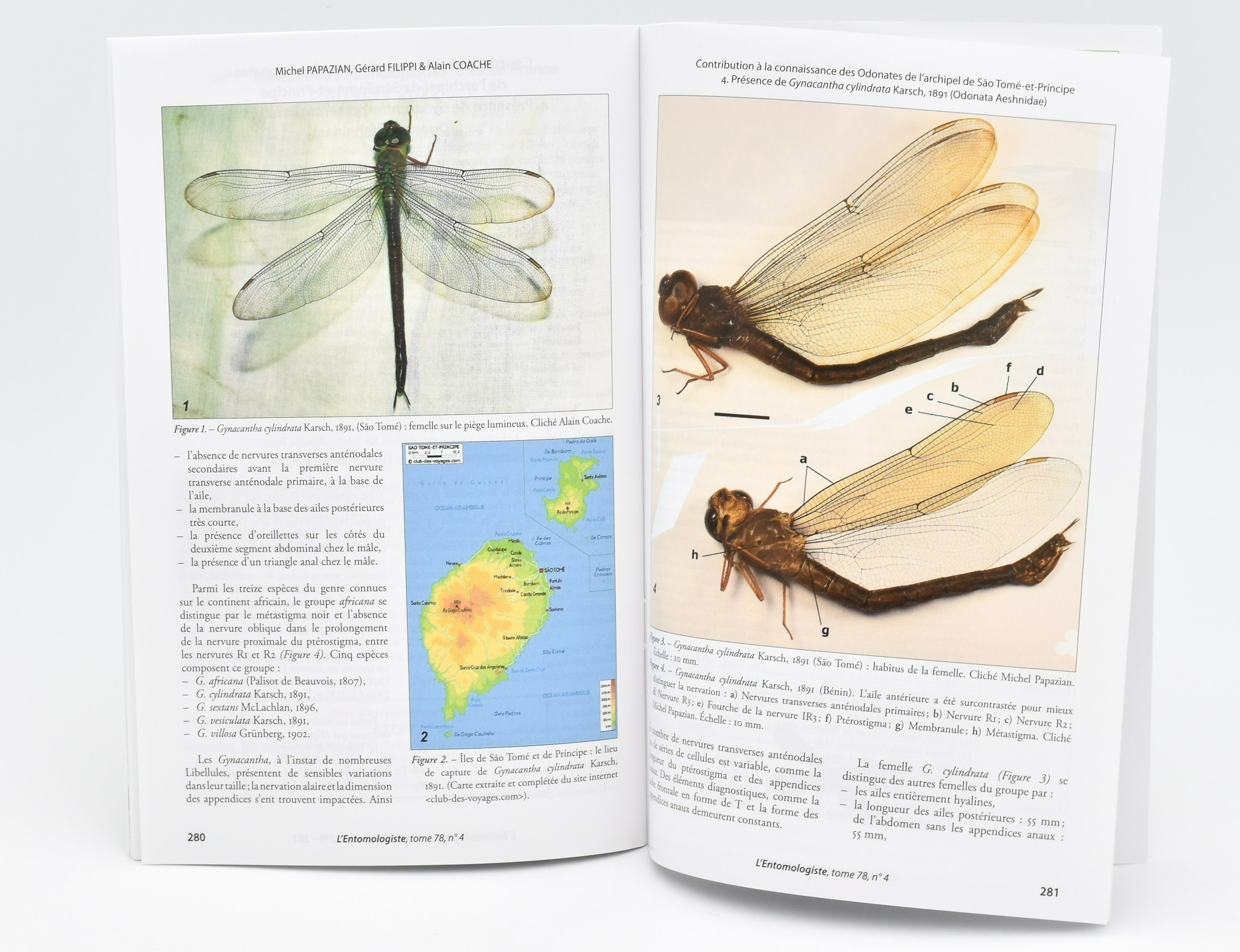 l entomologiste revue maunakea