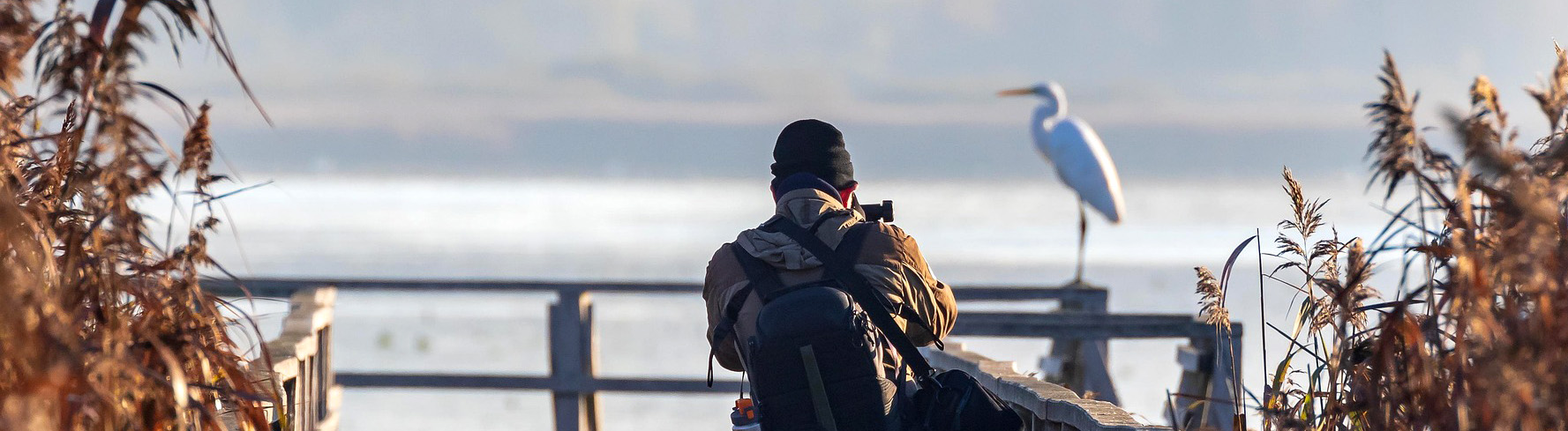 banner concours photo longue vue ornithologie maunakea