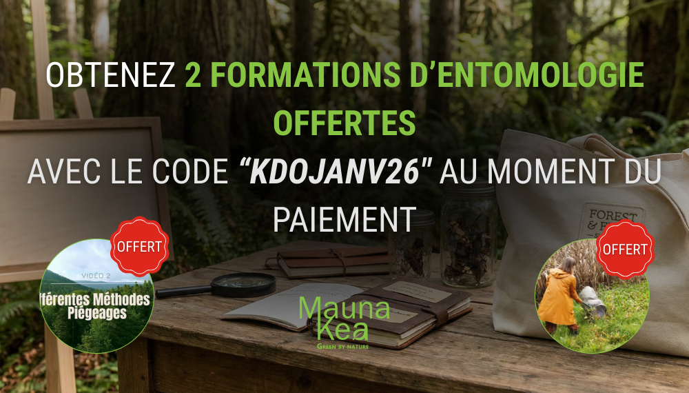 Formation entomologique Maunakea