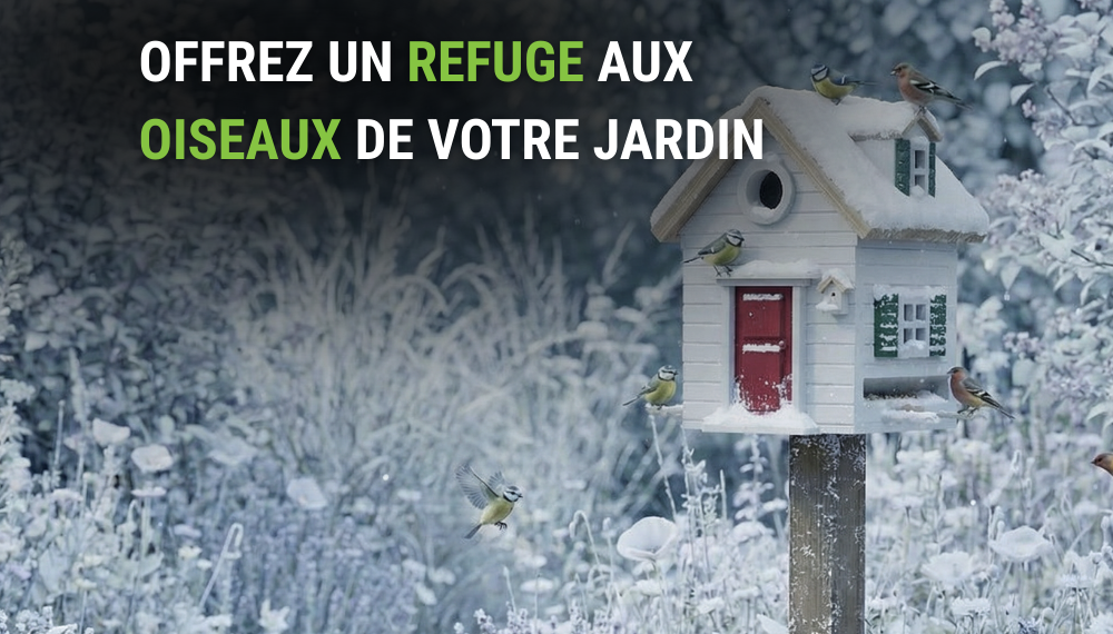 nichoir-mangeoire-oiseaux-hiver