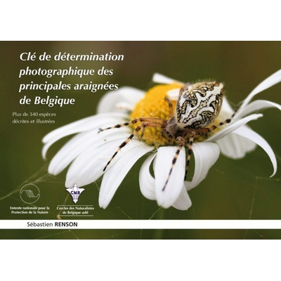 cle-determination-photographique-principales-araignees-Belgique-cover