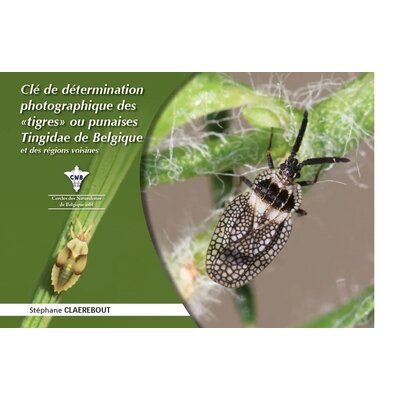 CNB-cle-determination-punaises-tingidae-couverture