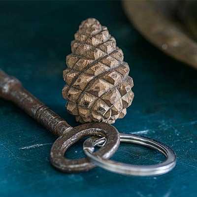 pomme-de-pin-3