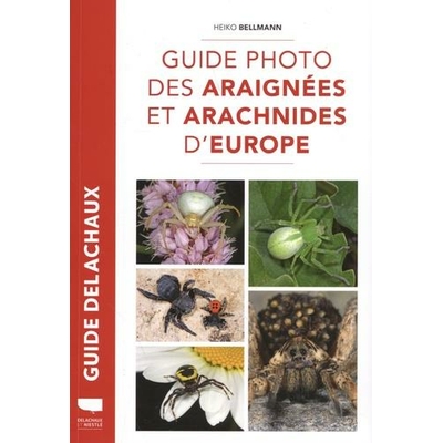 Guide photo des araignées et arachnides d'Europe