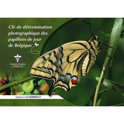 clef-determination-des-papillons-z