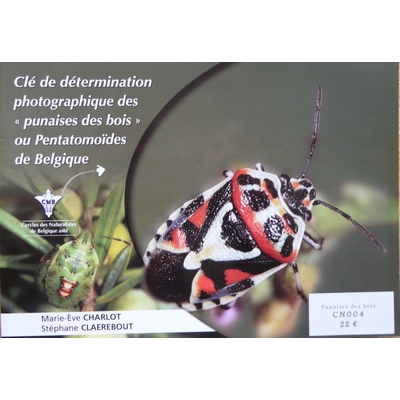 cle-punaises-des-bois-z