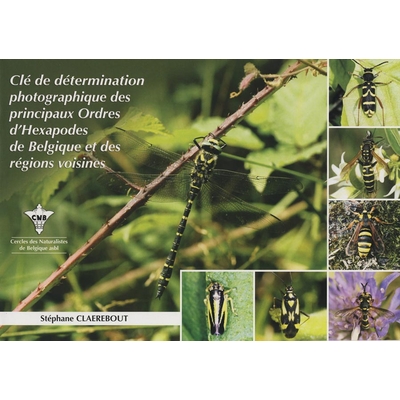 Cercle des Naturalistes de Belgique - Stéphane Claerbout -Couverture : vue de la clé avec une photo d’insecte adulte et manche illustré.