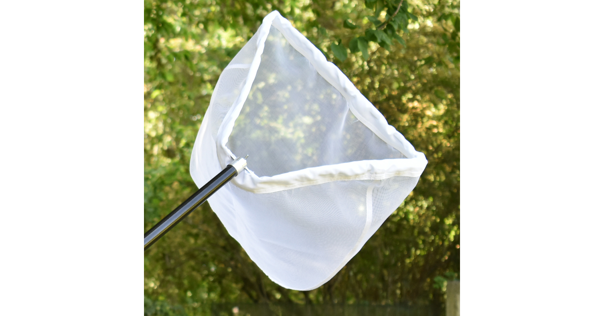 Pond and Butterfly Net