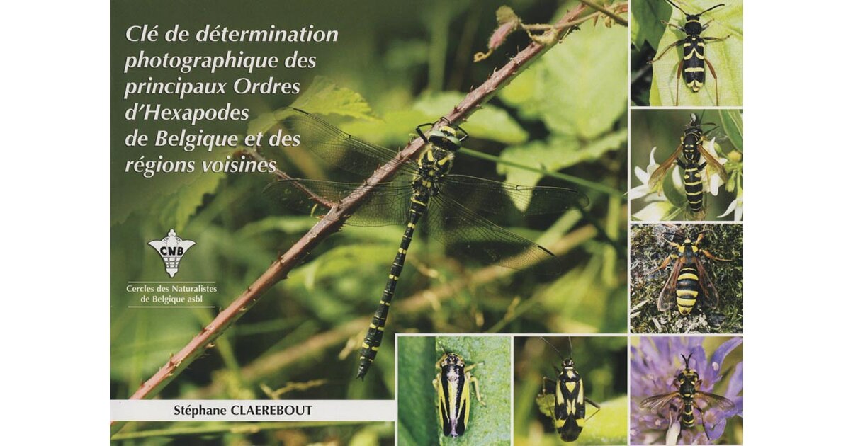 Clé de détermination ordres hexapodes - Faune - Livres/Insectes et ...