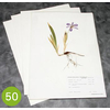 planche-herbier-lot-de-50-maunakea