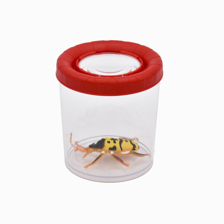 Kit D'Observation D'Insectes Pour Enfants - Boîte Loupe Grossissante Avec Filet à Papillon, Pince Et Attrape-Insectes - Idéal Pour Explorer La Nature