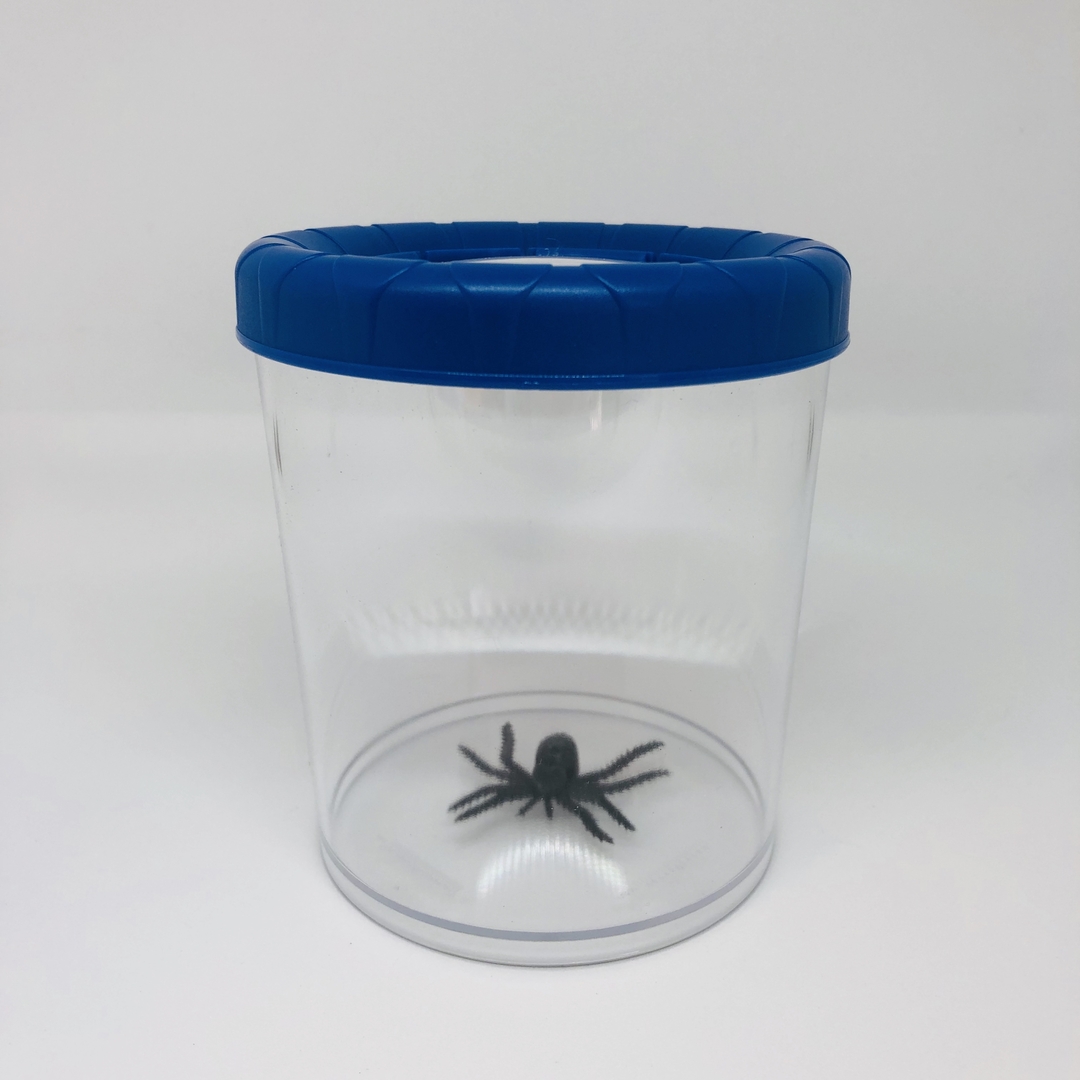 Boîte D'observation D'insectes Pour Enfants - Loupe Double 3X/6X Avec Cage à Papillons