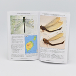 Revue-entomologiste-cadeau-octobre-Maunakea-2