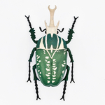 Coléoptère - Goliath décoration éducative-insecte-maunakea