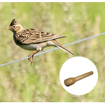 appeau-oiseau-alouette-des-champs-maunakea