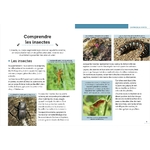 petit-guide-entomo-livre-enfant-extrait-2-maunakea