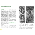 mousse-et-lichens-livre-botanique-extrait2-maunakea