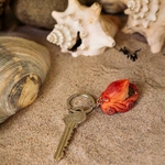 WG4724_Keyring-Octopus_LS-2-1-1