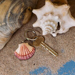 WG4721_Keyring-Scallop_LS-3-1-1