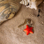WG4725_Keyring-Starfish_LS-1-1-1