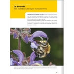 decouvrir-proteger-nos-abeilles-sauvages-page09