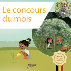 Mauneakea-concours-cabane-saule-facebook