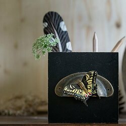 Paquet De 100 épingles Entomologiques Noires Vernies N°3 - Neuves - Pour Collection Insectes